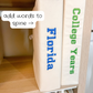Custom College Scrapbook Album Pennant